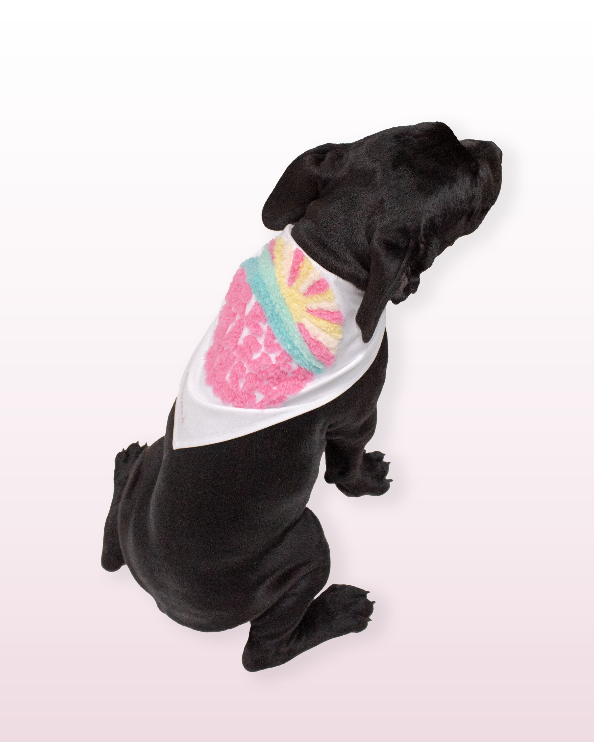 FUZZY PET BANDANA - pet accessories