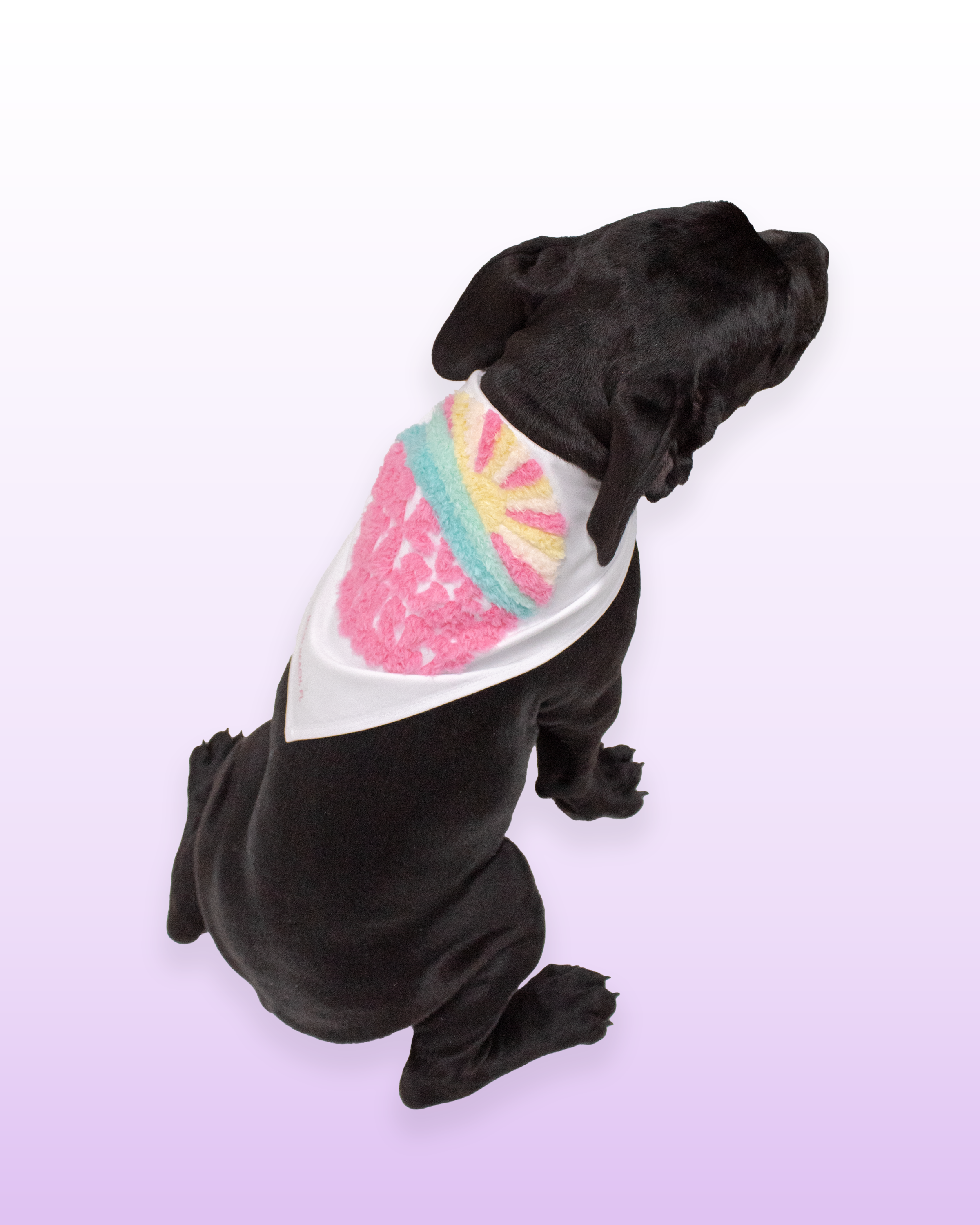 FUZZY PET BANDANA - pet accessories